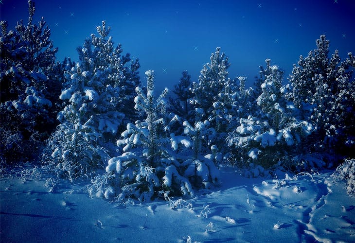Siberian-Winter