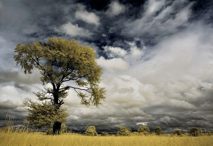 bitter-mood--infrared