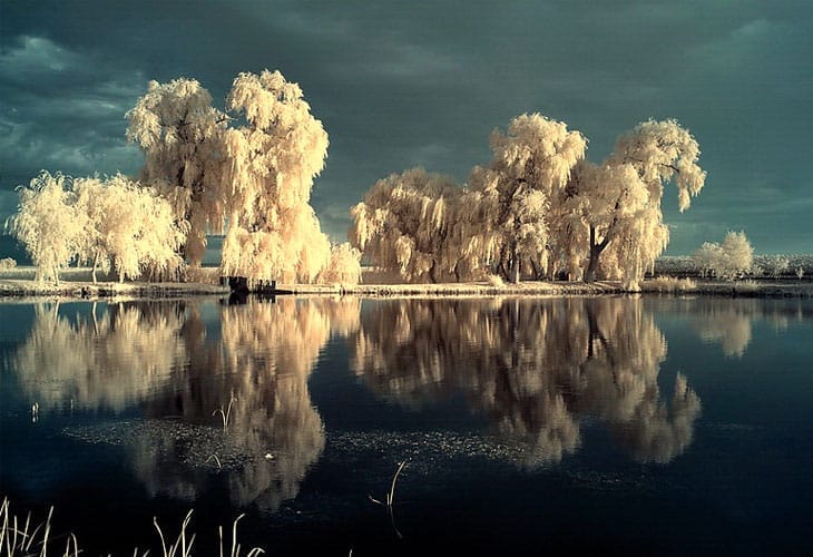 the-mirror-pool-infrared