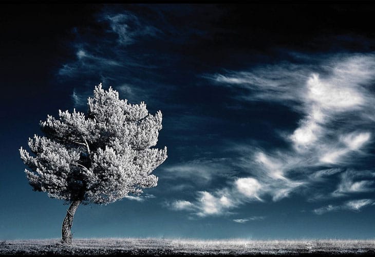 ultimate-sigh-infrared