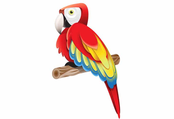 Colorful-Parrot