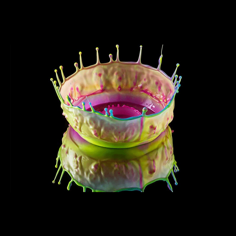 40 Stunning Examples of High Speed Photography