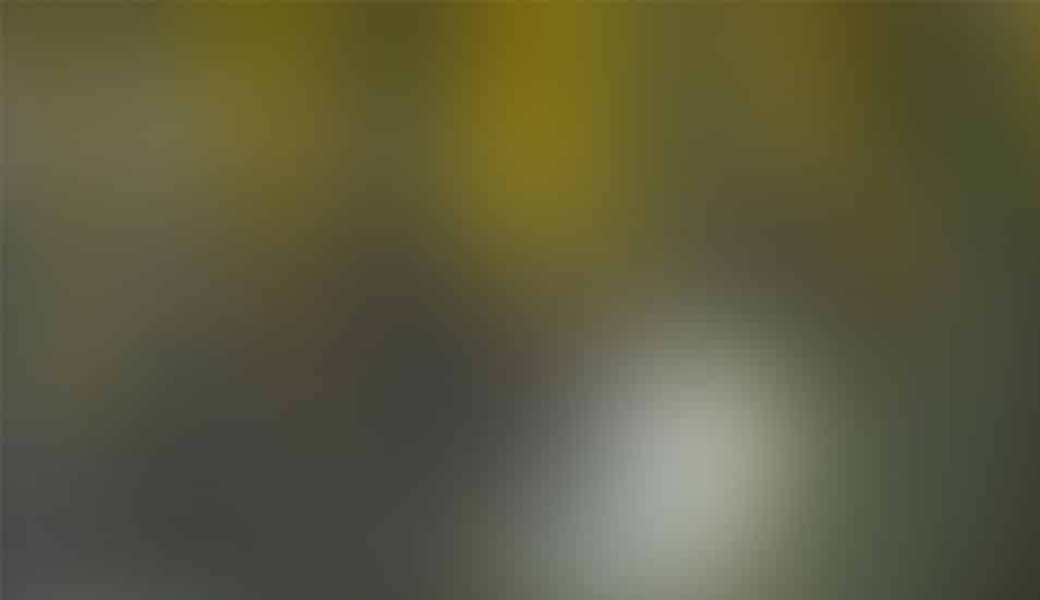 Blurred-Background_10-cssauthor.com
