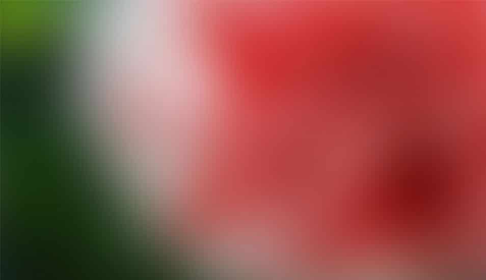 Blurred-Background_27-cssauthor.com