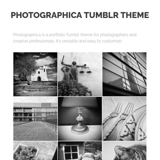 Best Premium Tumblr Portfolio Themes