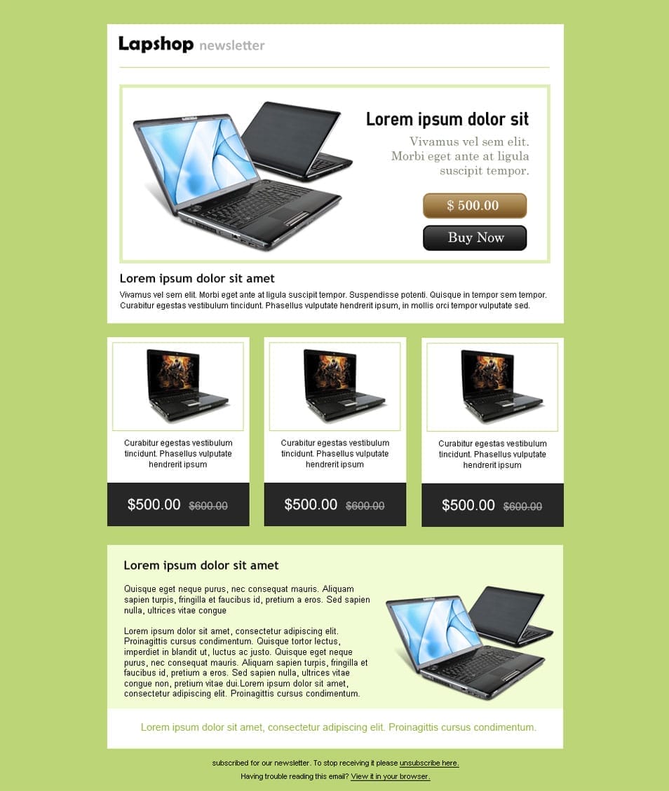 Online Shop Free PSD Email Newsletter Template