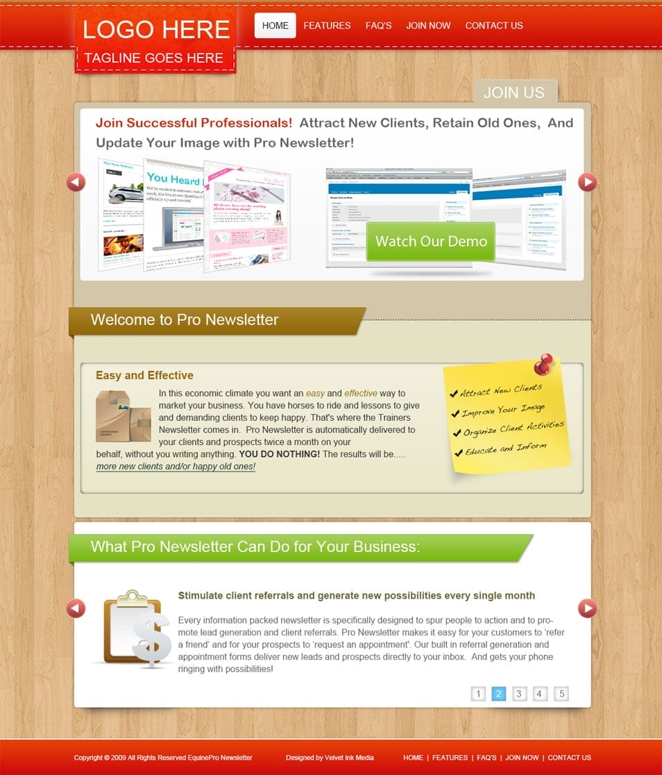 Pro Newsletter Free PSD Website Template for Online Business