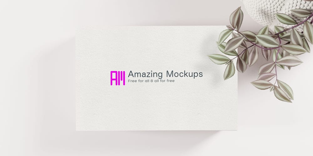 Delicate Business Cards