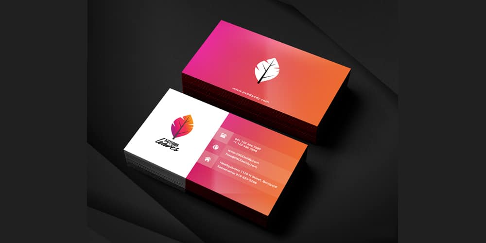 Professional Business Card PSD