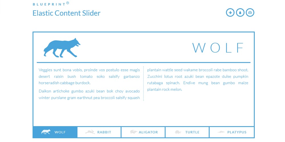 Elastic Content Slider