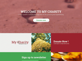 Free Charity Website Template PSD