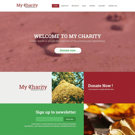 Free Charity Website Template PSD