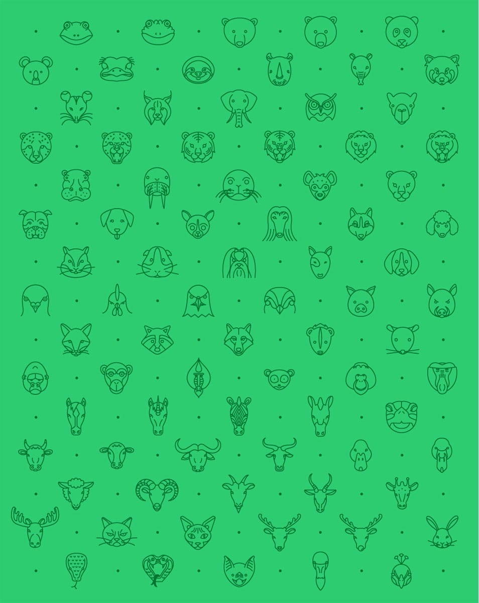 79 Animal Line Icon Set