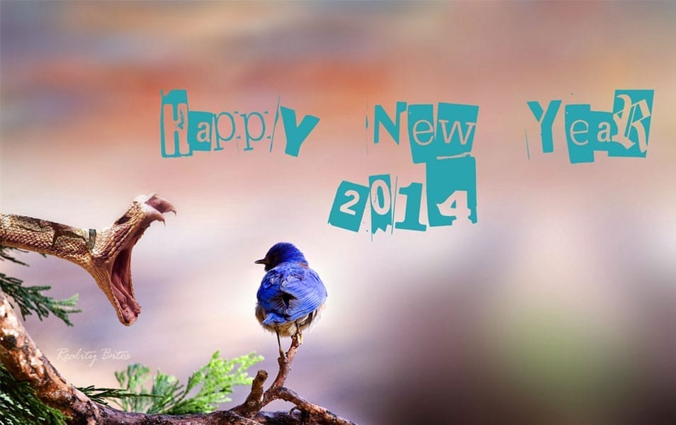 New Year 2014 Greetings HD wallpaper