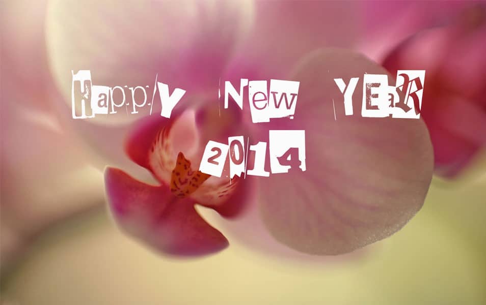 Pink Roses New Year 2014 HD Wallpaper