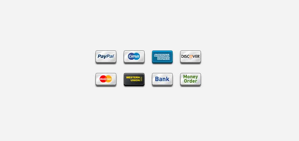 8 Popular payment icons 8 Popular payment icons