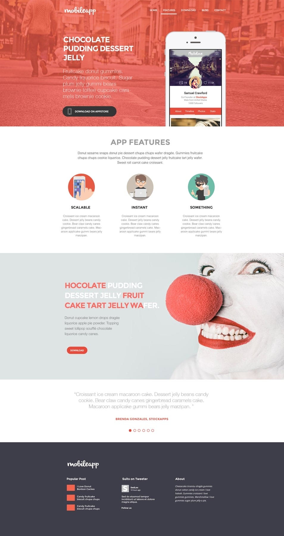Application Landing Page Template PSD