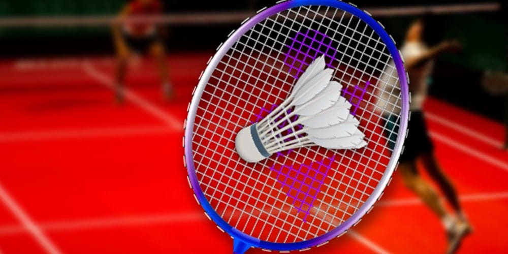 Badminton Racket and a Shuttlecock
