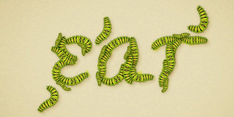 Caterpillar Text Effect 