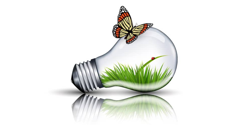  Eco Bulb and Butterfly Illustration 