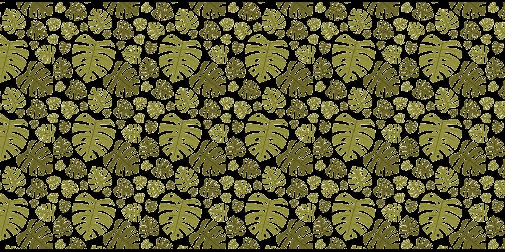 Monstera Leaf Pattern