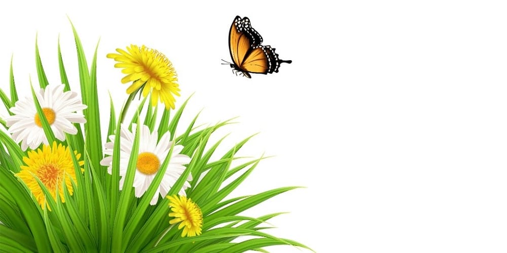 Nature-Scene-With-Dandelions-and-a-Butterfly