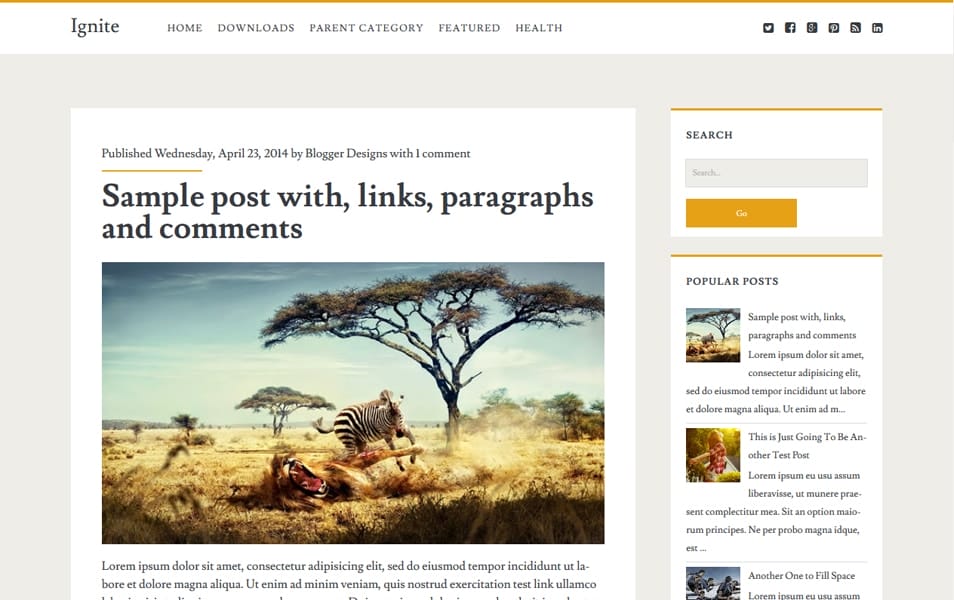 Ignite Responsive Photography Blogger template