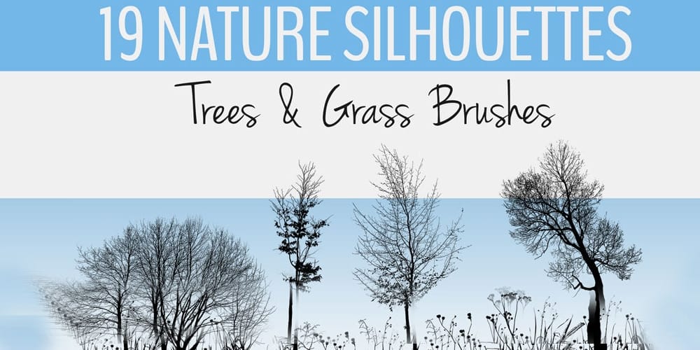 Nature Silhouettes Trees Grass Brushes