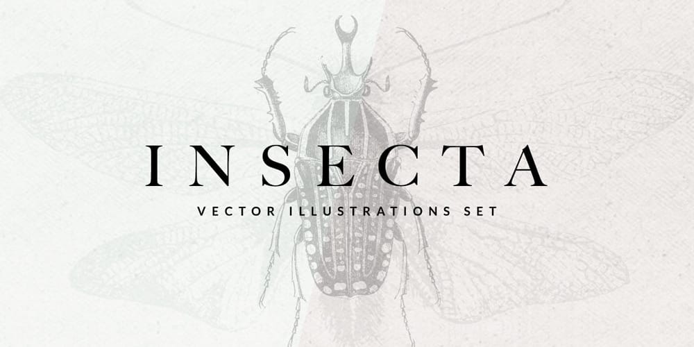 Insecta Vector Illustrations