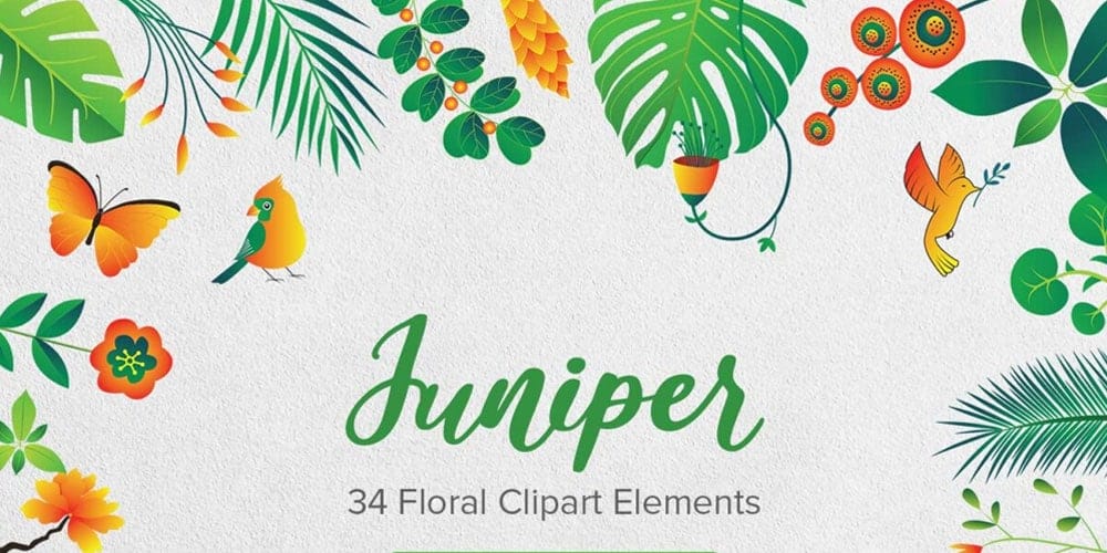 Juniper Floral Clipart Elements
