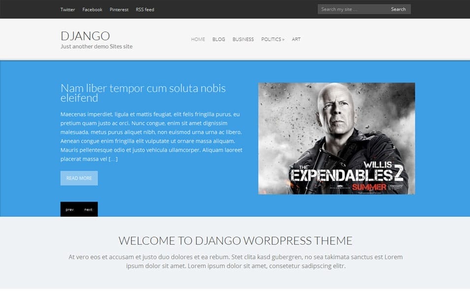 Django Free Portfolio WordPress Theme