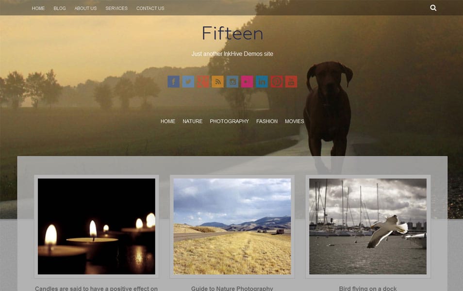 Fifteen Free Portfolio WordPress Theme