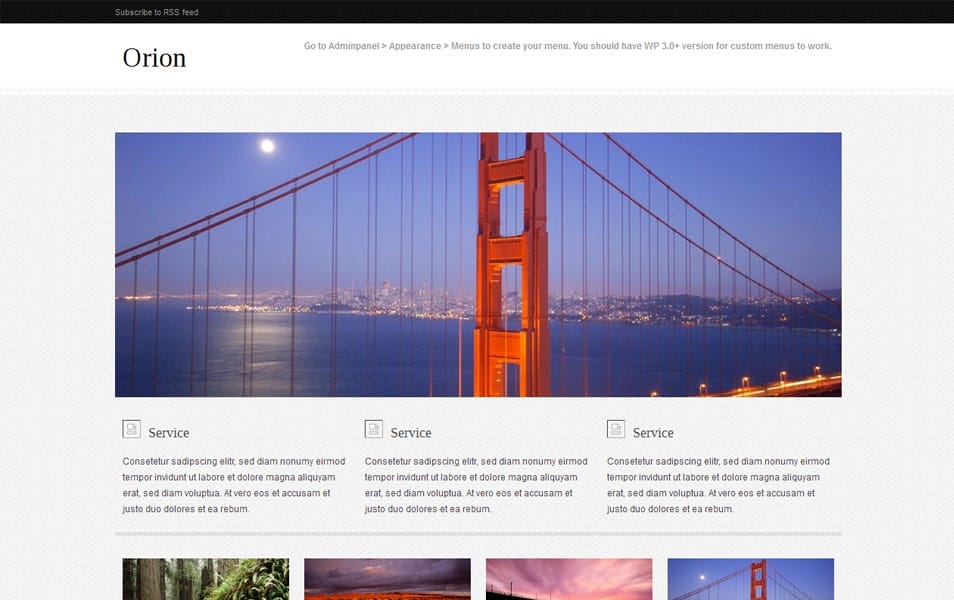 Orion Free Portfolio WordPress Theme