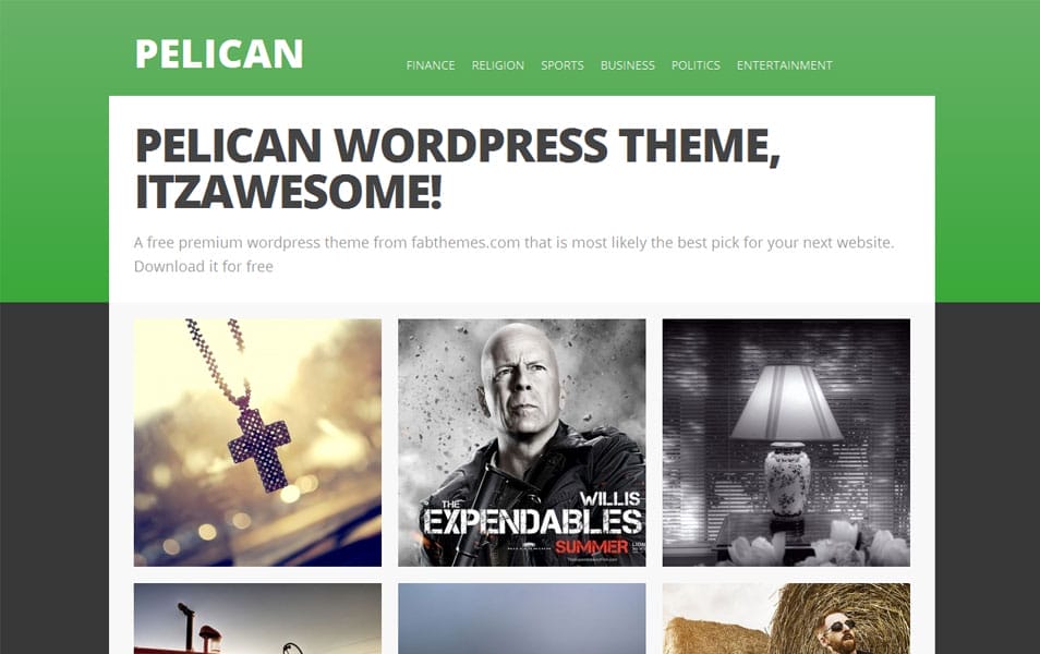 Pelican Free Photography WordPress Theme