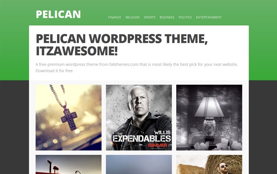 Pelican Free Portfolio WordPress Theme