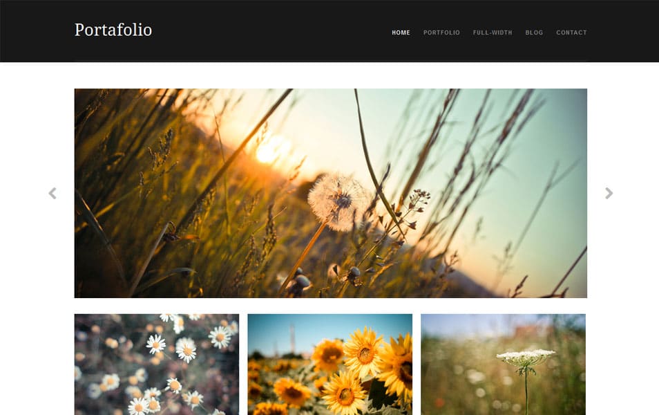 Portafolio Free Photography WordPress Theme