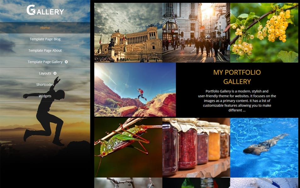 Portfolio Gallery Responsive WordPress Theme