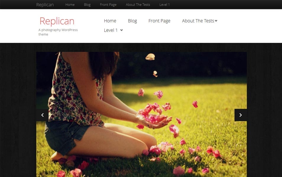 Replican Free Photography WordPress Theme