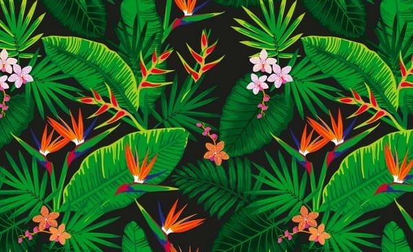 Best SVG Tutorials & Techniques » CSS Author