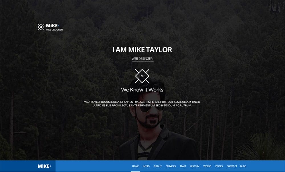 Free Single Page Web Template PSD