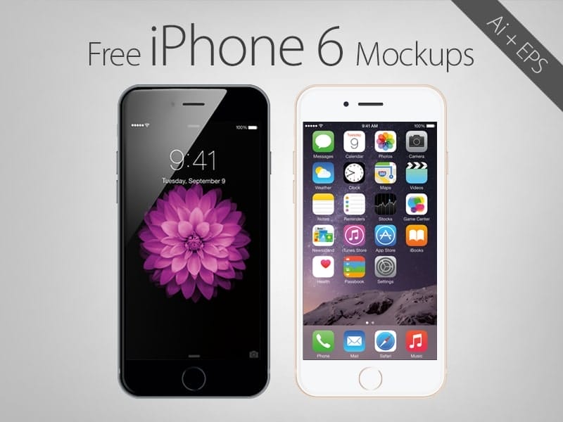Free Vector Apple iPhone 6 Mockups