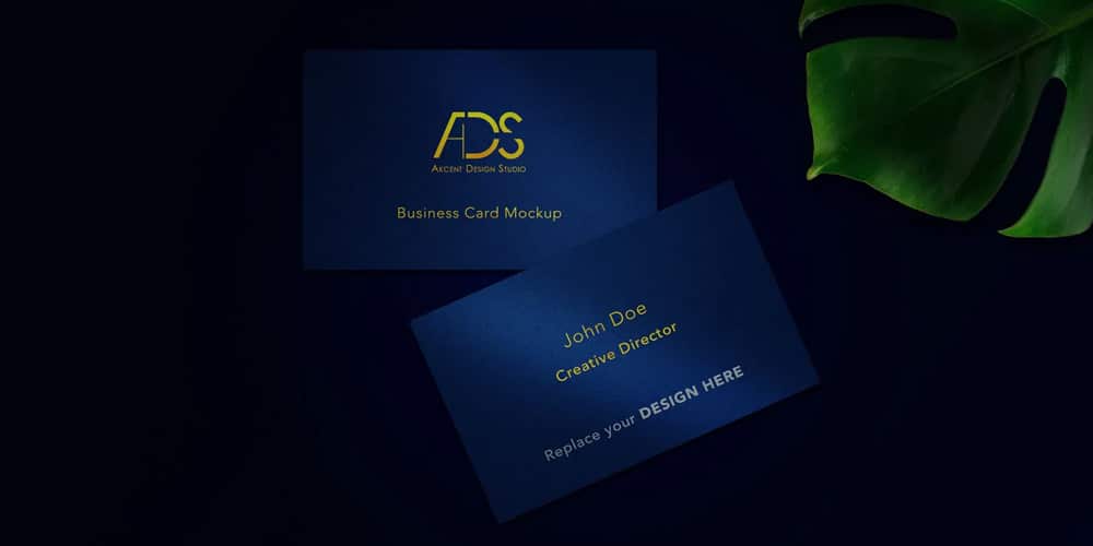 Blue Tone Business Card Mockup