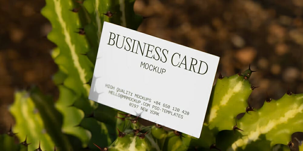 Business Card Among Cactus Mockup