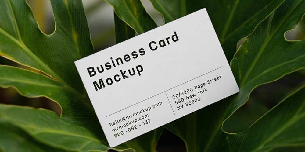 Business Card Between Ficus Mockup