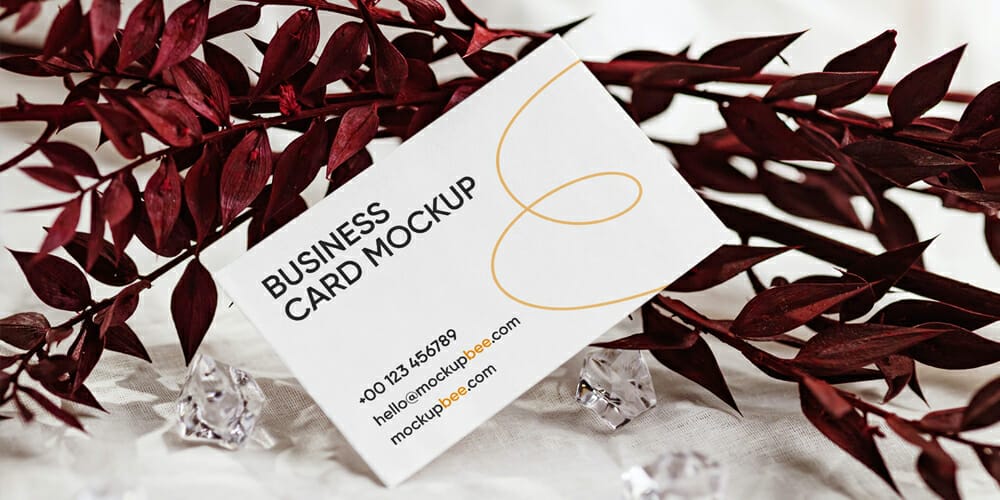 Business Card with Leaf Mockup