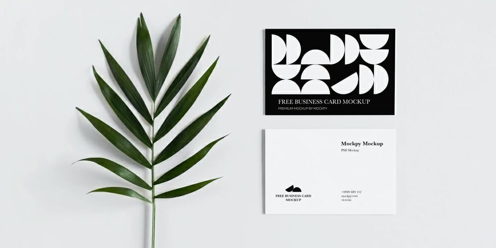Business Cards With Palm Leaf Mockup