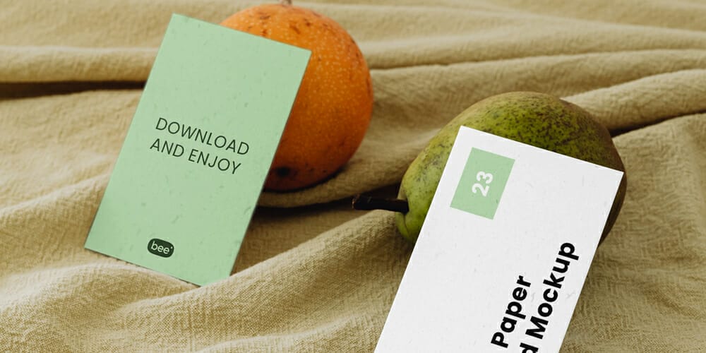 Double Business Card Mockup