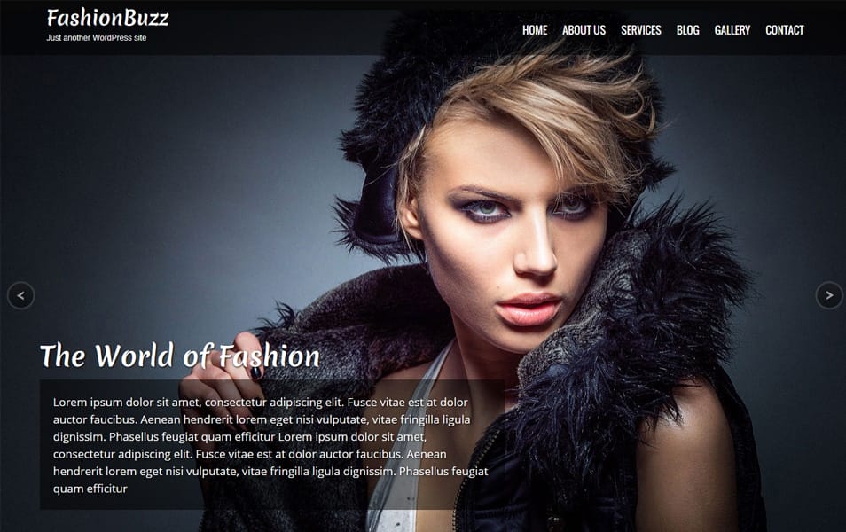Fashionbuzz Responsive WordPress Theme