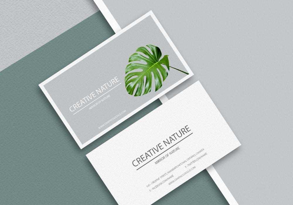 Free Letter Head and Business Card