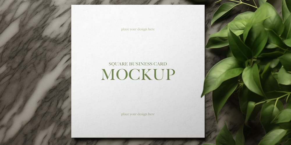 Free Square Business Card Mockup Template PSD